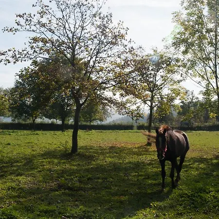 Landgut Burg Gmbh ヴァインシュタット