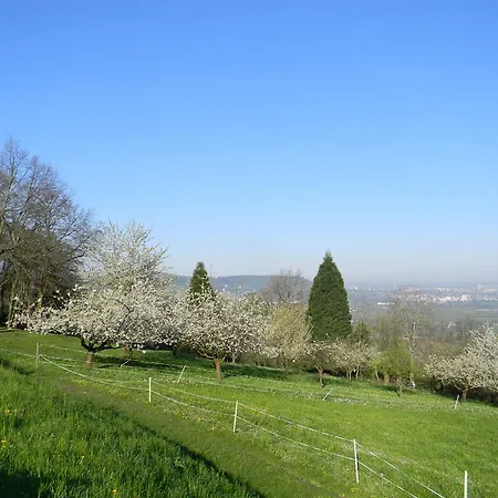 ホテル Landgut Burg Gmbh ヴァインシュタット