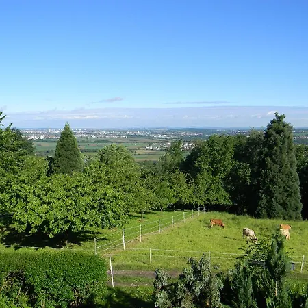 Landgut Burg Gmbh ヴァインシュタット