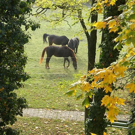 Landgut Burg Gmbh ヴァインシュタット