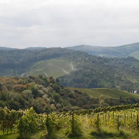 Landgut Burg Gmbh 3*