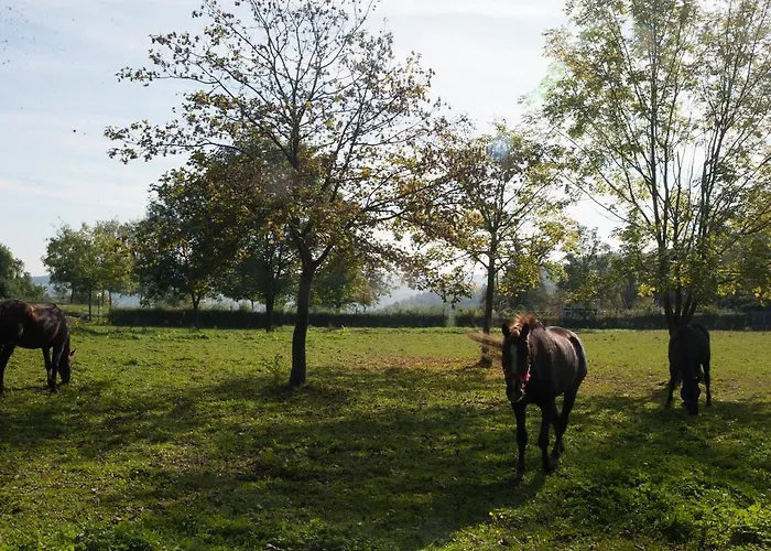 Landgut Burg Gmbh Weinstadt