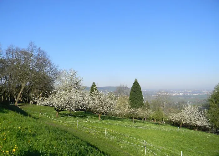 Hotel Landgut Burg Gmbh Weinstadt