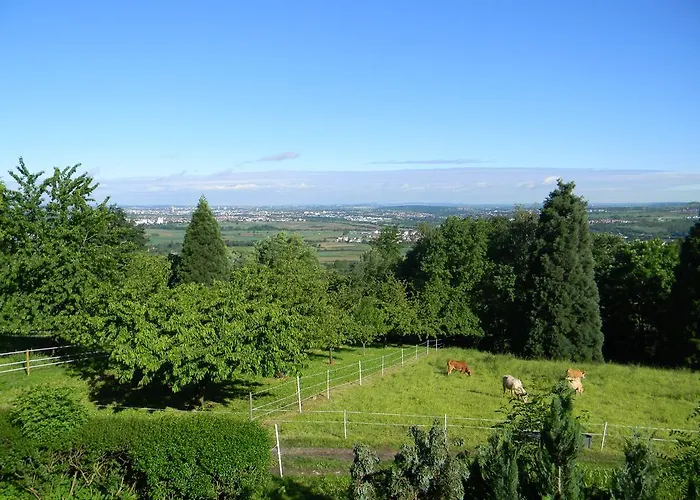 Landgut Burg Gmbh Weinstadt