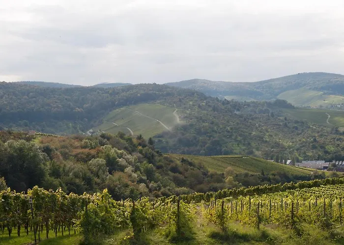 Landgut Burg Gmbh 3*